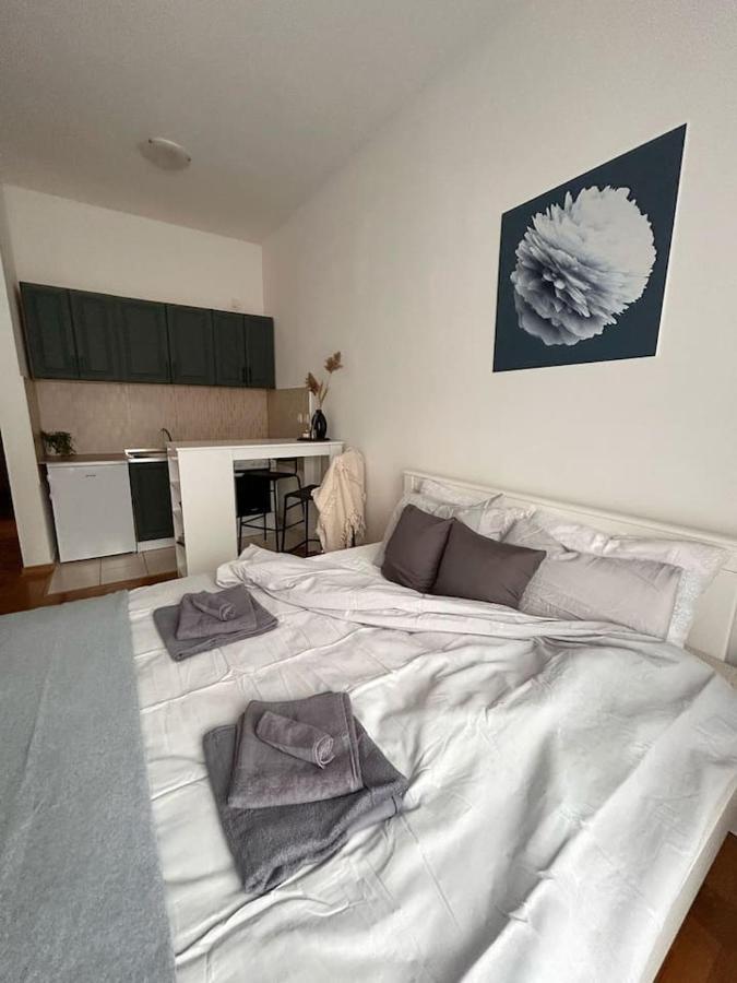 S11 Appartement Novi Sad Buitenkant foto
