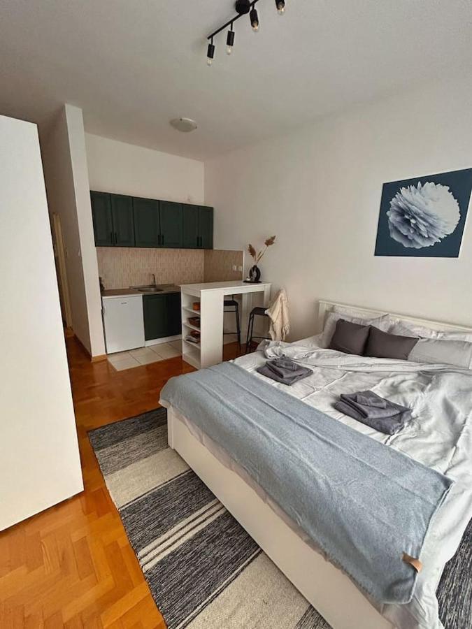 S11 Appartement Novi Sad Buitenkant foto